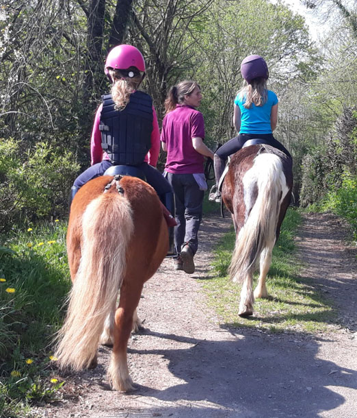Une balade à poney dans la forêt